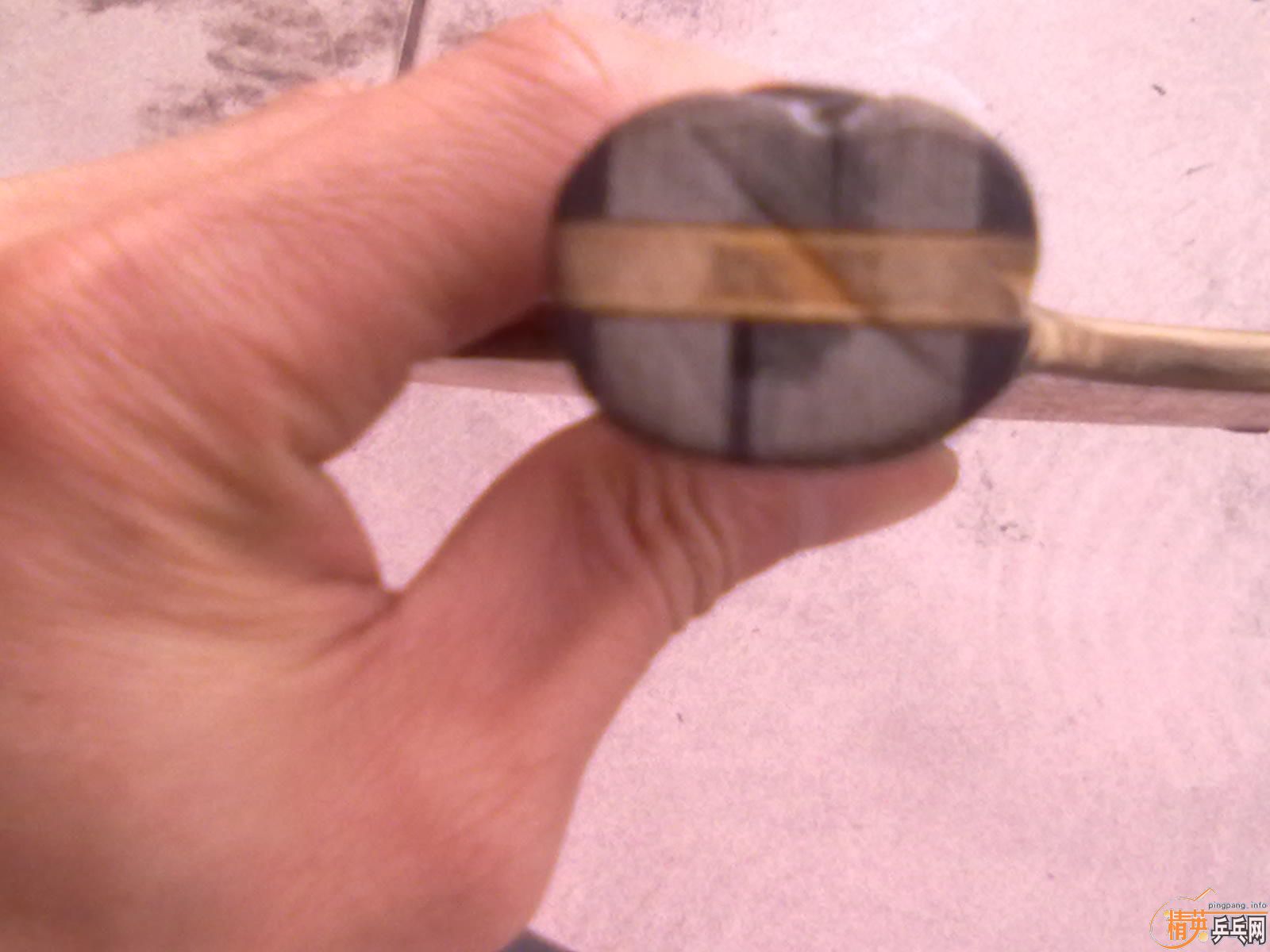 ���л����޲�����EG�;�̱���YEO