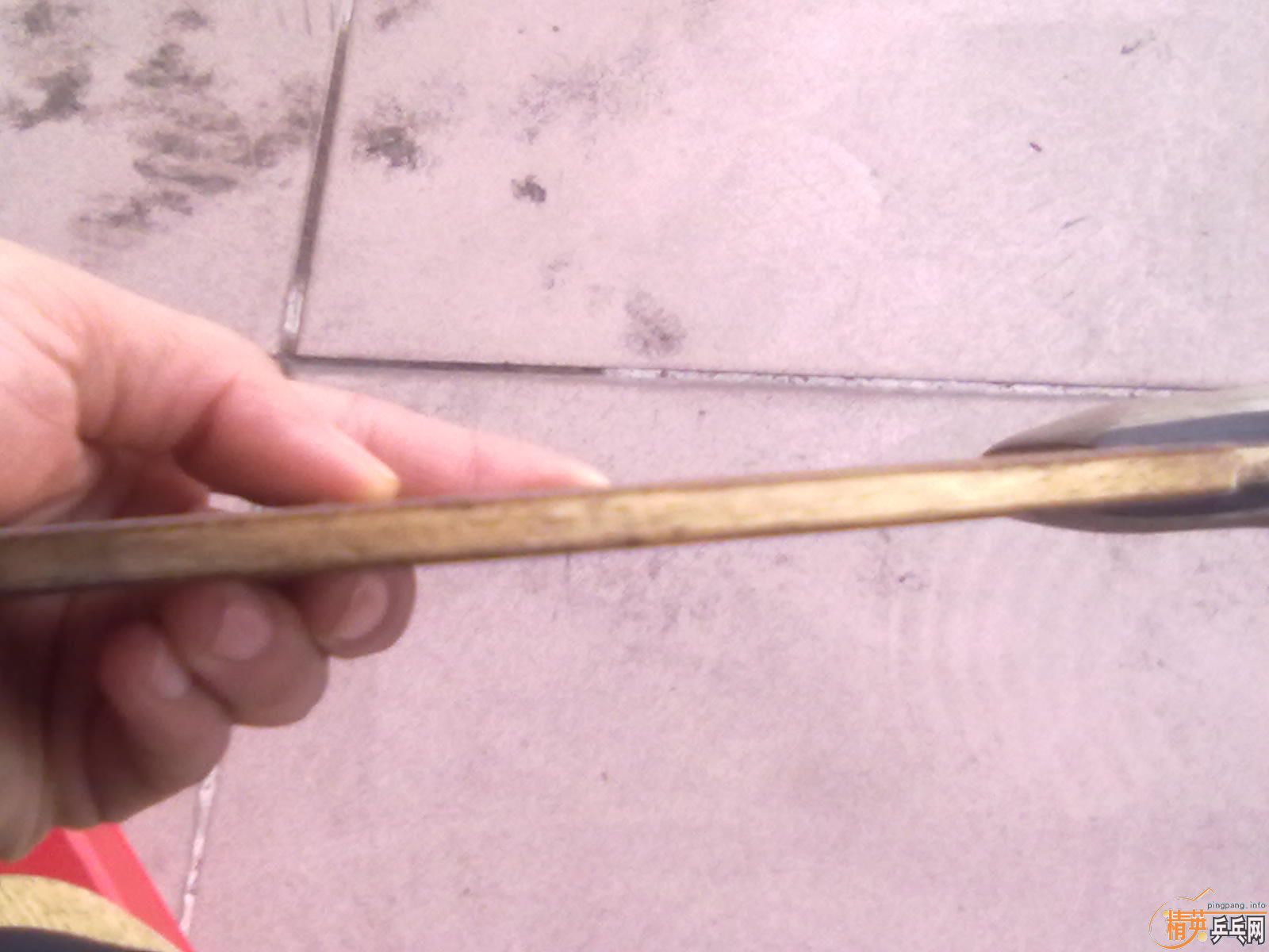 ���л����޲�����EG�;�̱���YEO