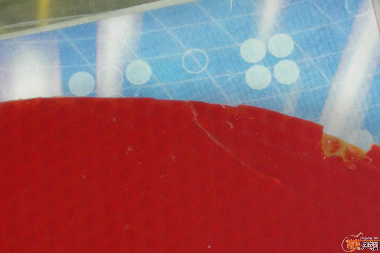 ���ᡢnodias��ʡ��Ƚ�Ƥ��������