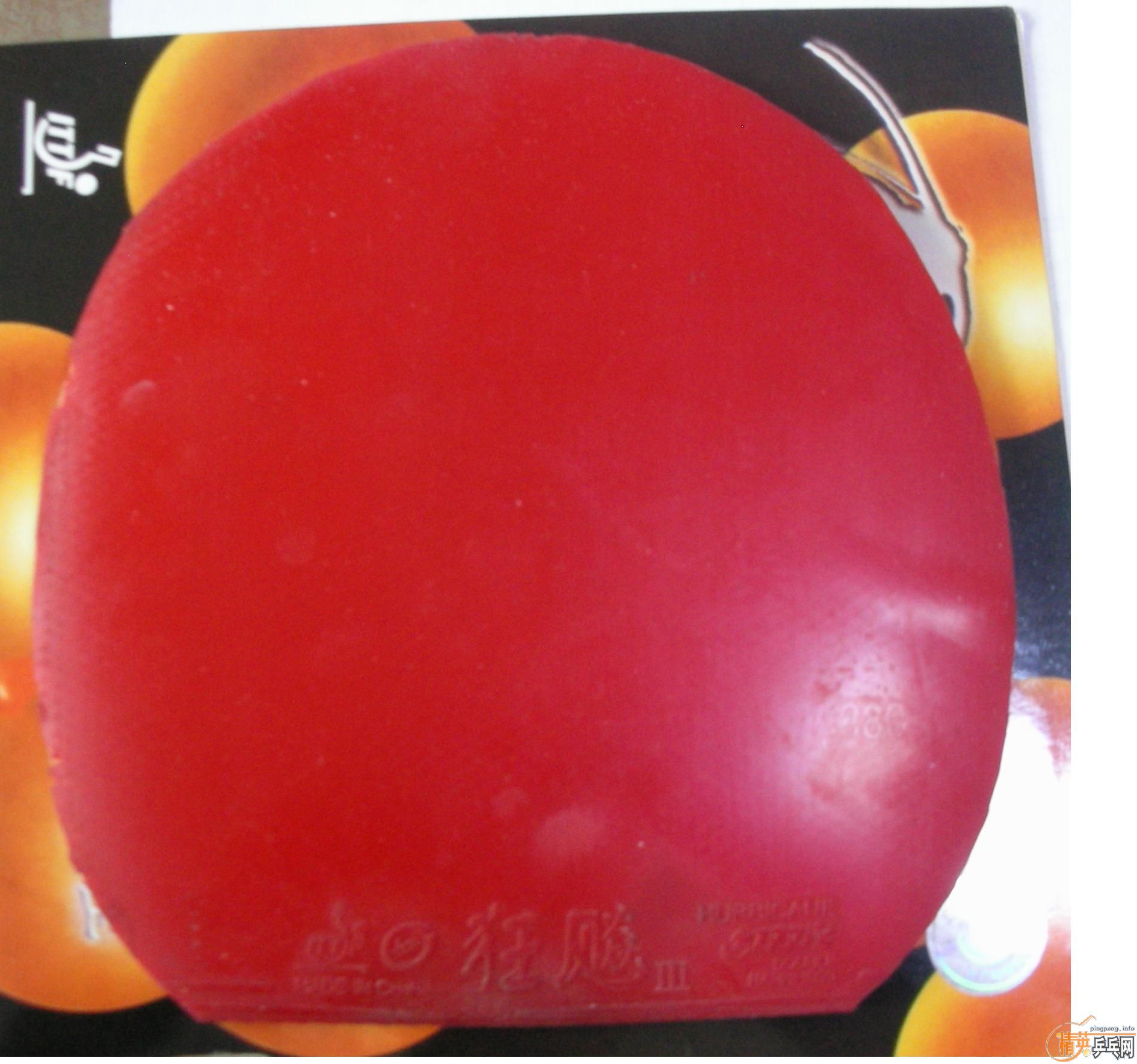 ���ᡢnodias��ʡ��Ƚ�Ƥ��������