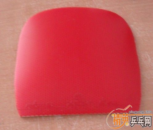 150����9.5�°׽�����PROZ���������ã�����ֱ�����ͻ���-SP