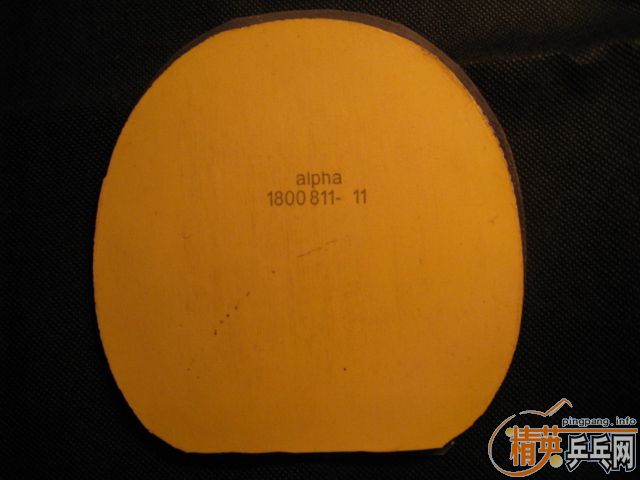 ���˳�9.5�����ϵ�ͦ��sinus