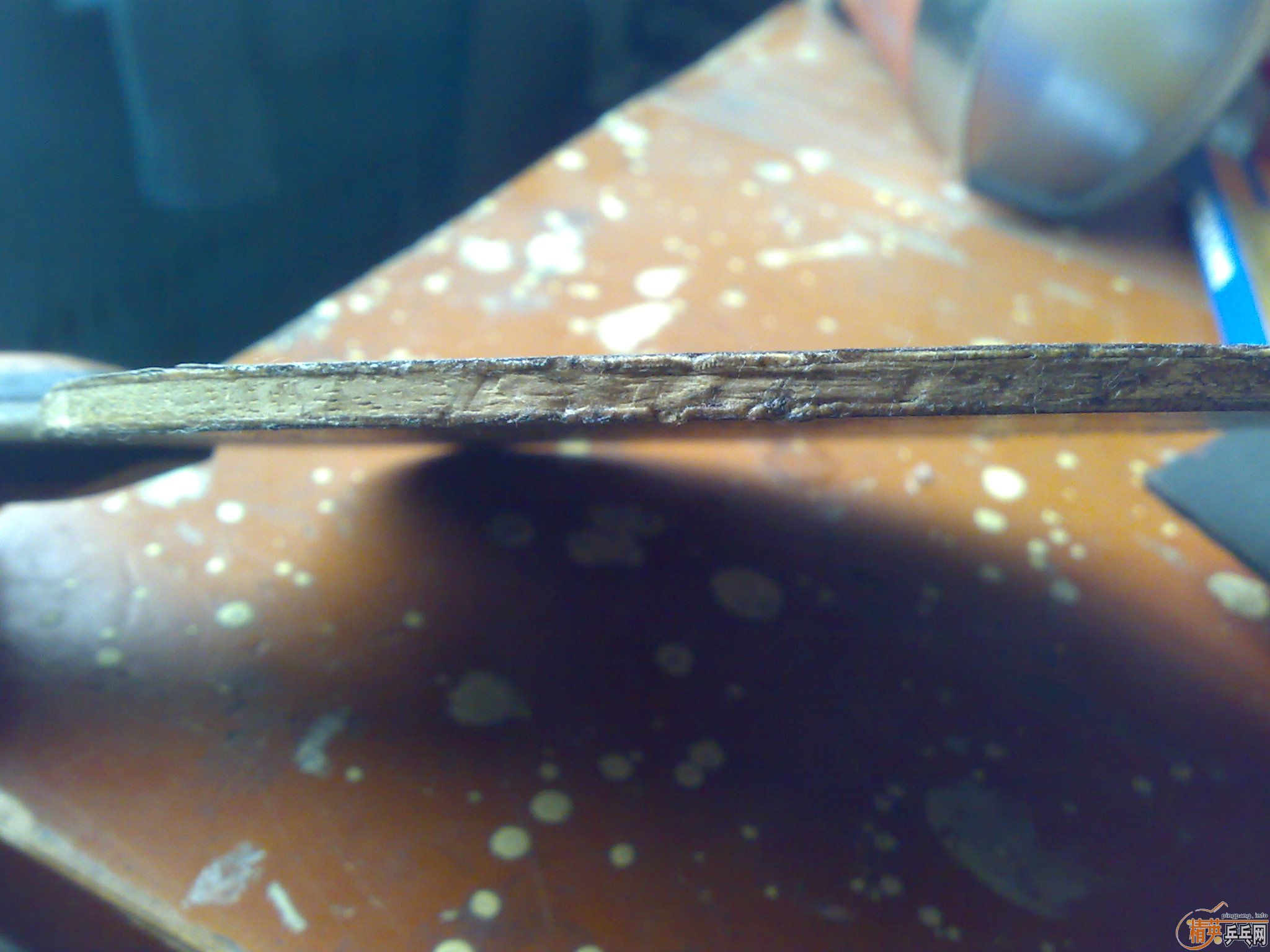 ����100��һ��ɵ�OCCR�л����볢�Ե���������������