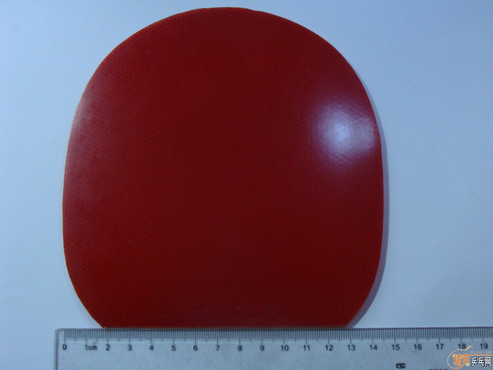 ������el ʡ����41�� pilio ��̨�칥 ���Ž�Ƥ