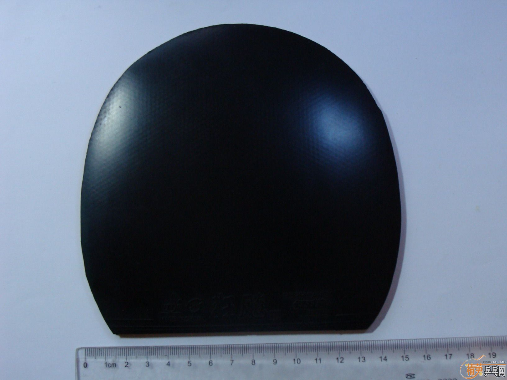 ������el ʡ����41�� pilio ��̨�칥 ���Ž�Ƥ