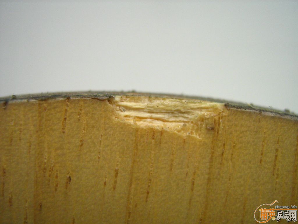 �������ﺣΰ�����У���������