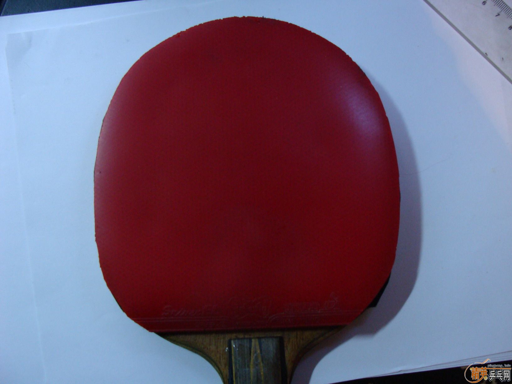 ������el ʡ����41�� pilio ��̨�칥  ���Ž�Ƥ