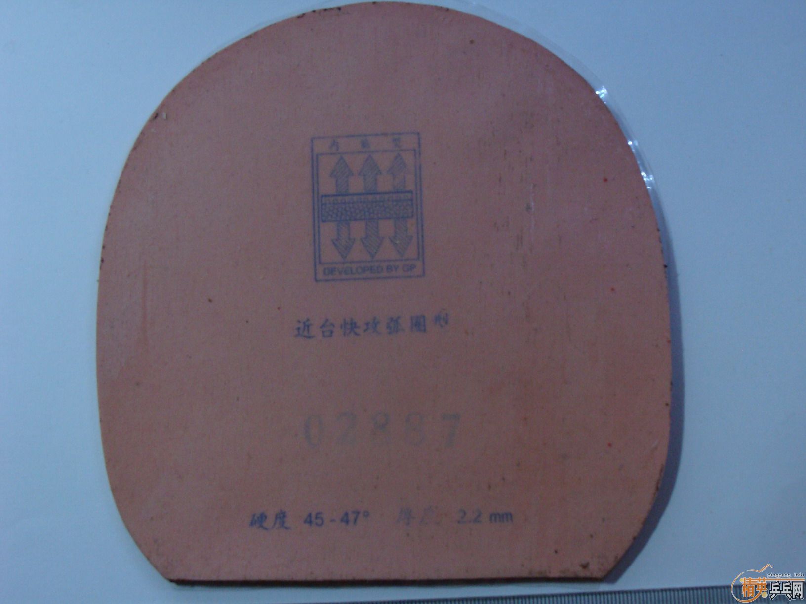 ������el ʡ����41�� pilio ��̨�칥  ���Ž�Ƥ