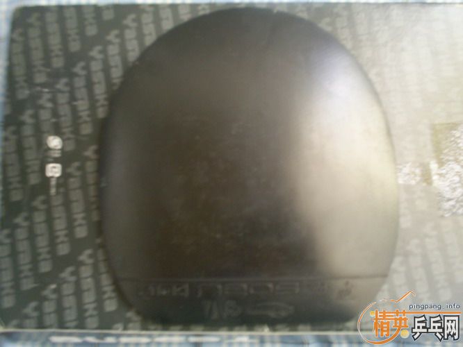 ��һ��������˫ϲ��������һ�׽�stiga NEOS