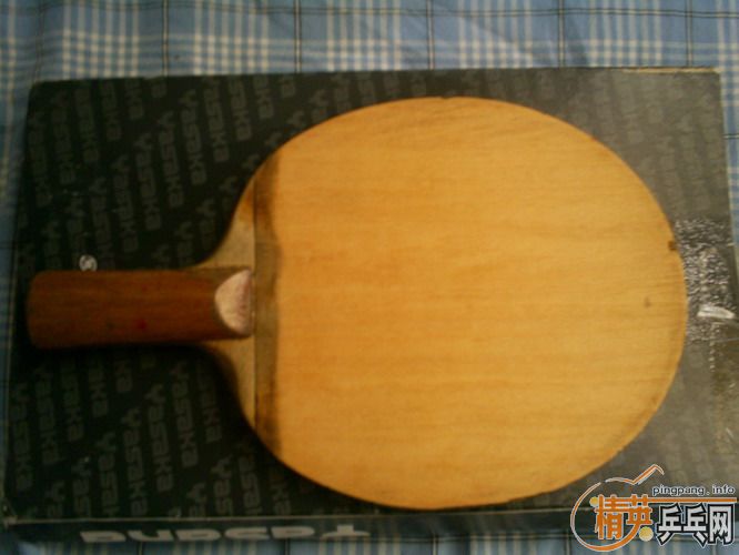 ��һ��������˫ϲ��������һ�׽�stiga NEOS