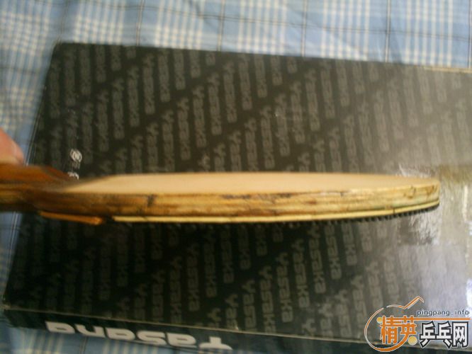 ��һ��������˫ϲ��������һ�׽�stiga NEOS