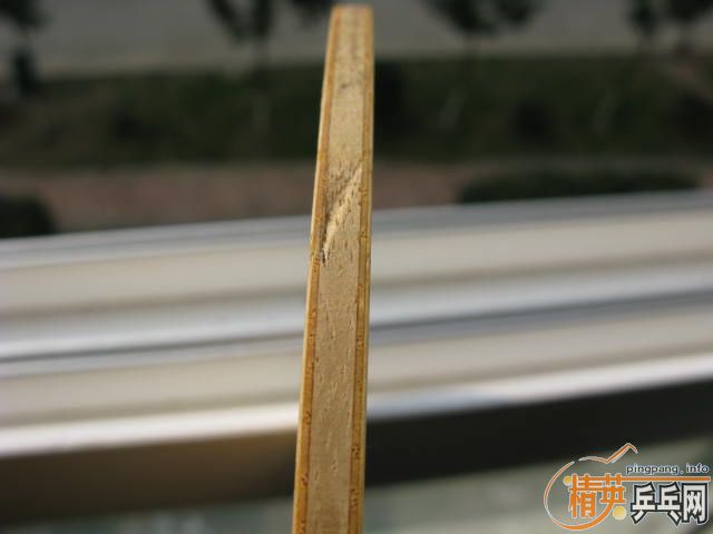 83��С����(�±���)580Ԫ����