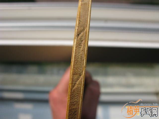 83��С����(�±���)580Ԫ����