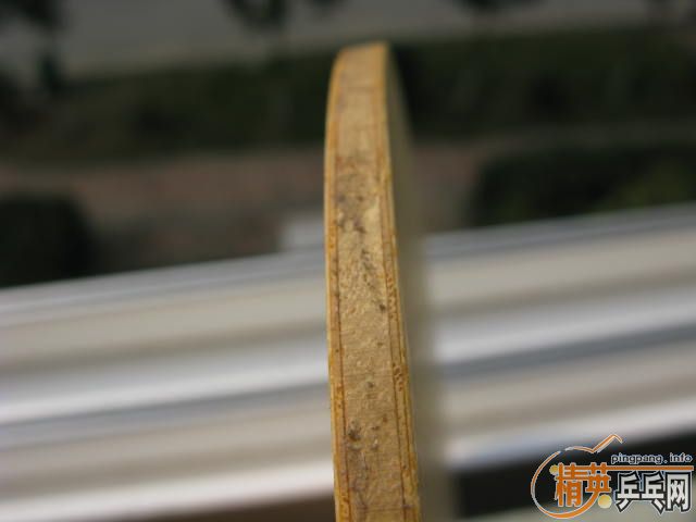 83��С����(�±���)580Ԫ����