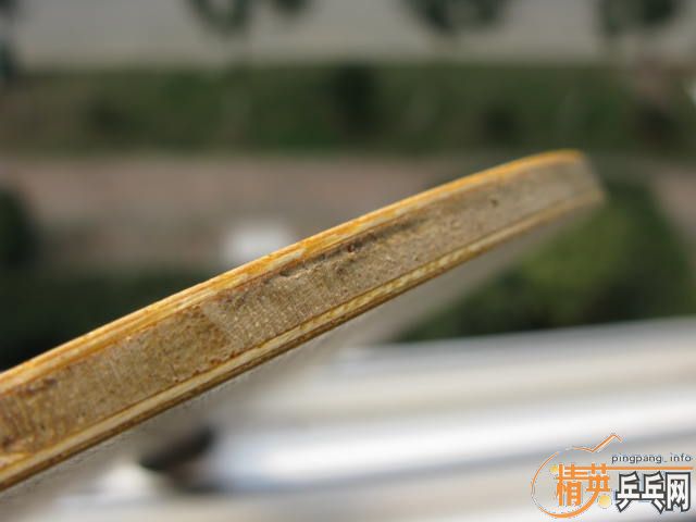 83��С����(�±���)580Ԫ����