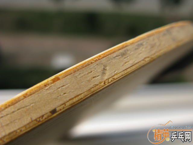 83��С����(�±���)580Ԫ����