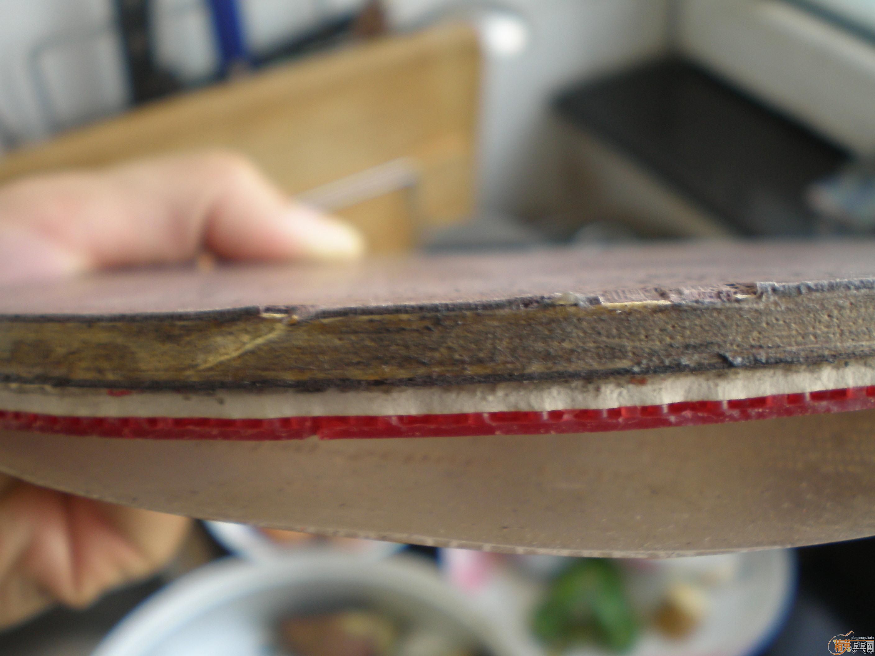 ˫�����ۿ�������