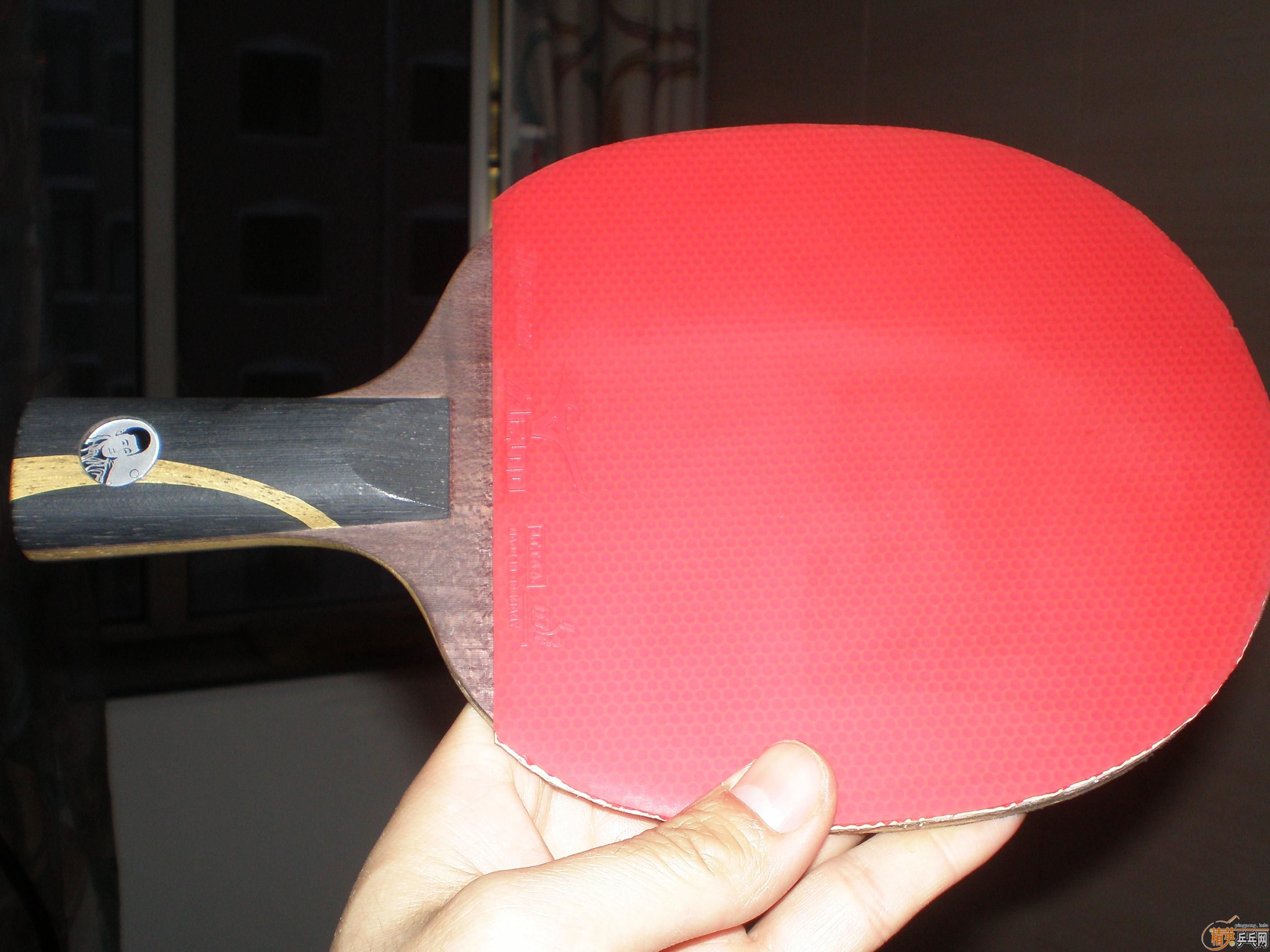 ˫�����ۿ�������