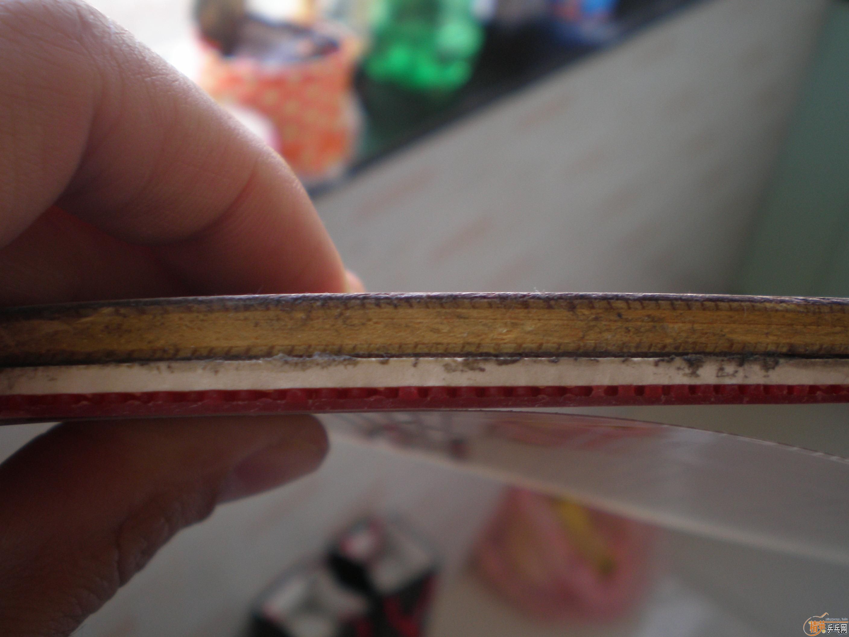 ˫�����ۿ�������