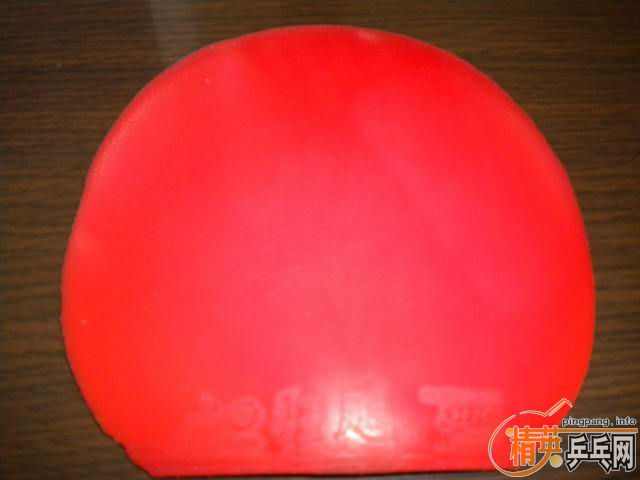 ����� �տ� HK1997 LKT��Ƥ ����Ȥ�����ѽ������£�����