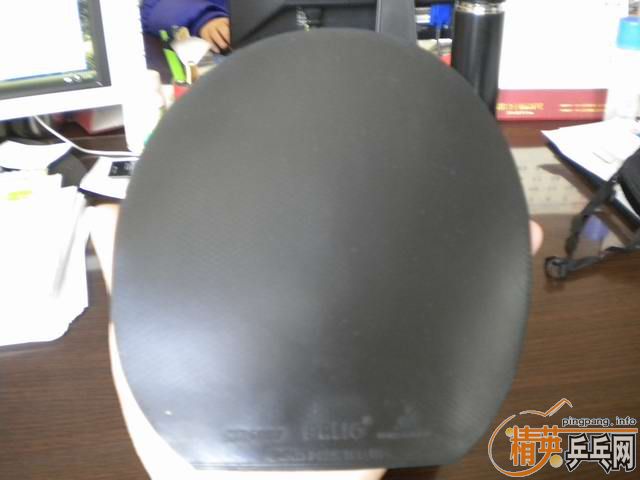 ����� �տ� HK1997 LKT��Ƥ ����Ȥ�����ѽ������£�����