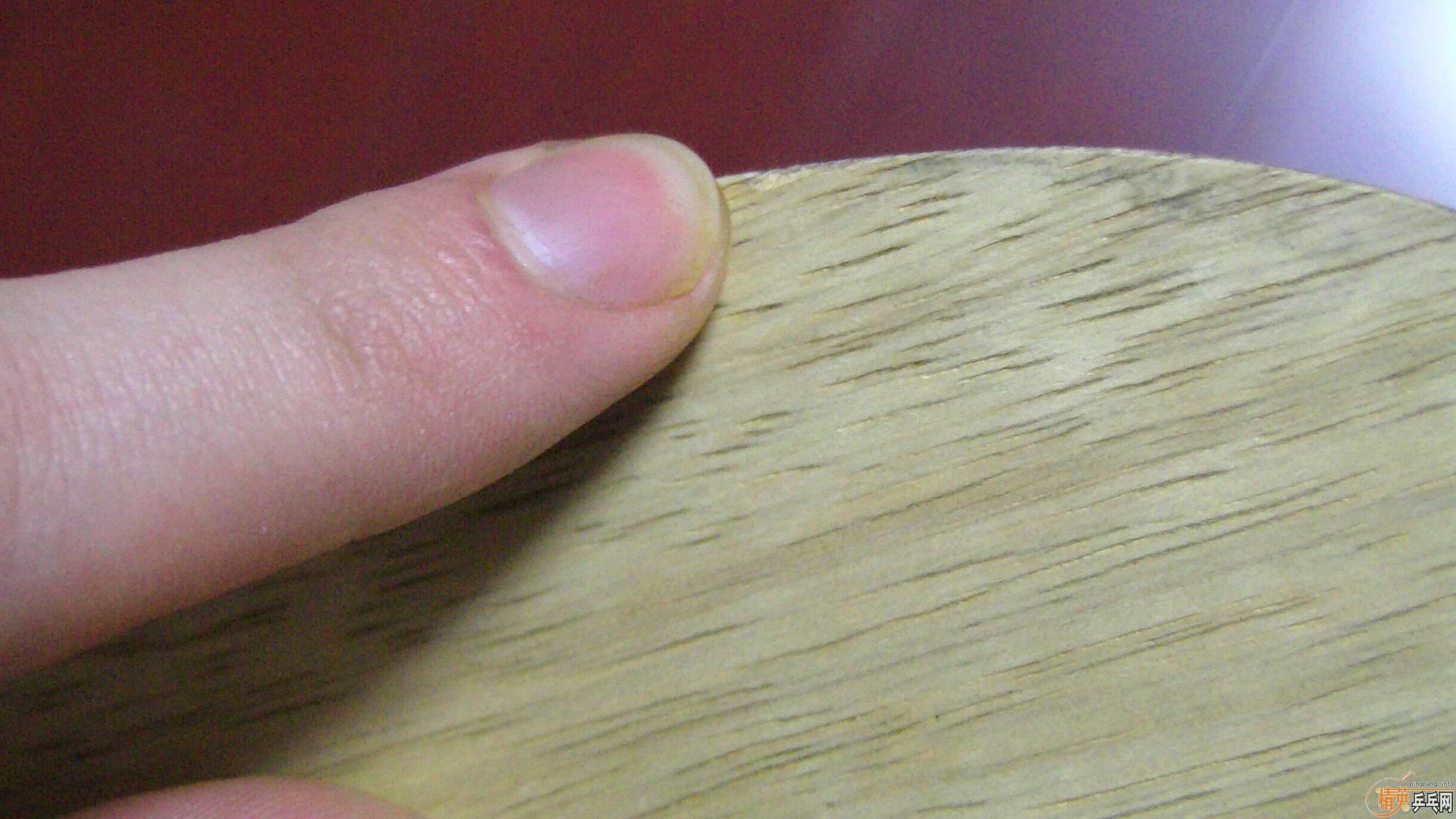 ���� donic��̼��ǿ180 �� �л�donic��ŷ��ѡ80