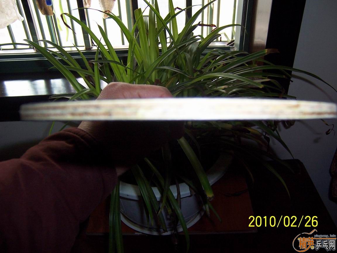 �����µ�v70��ֱ���Ͱ�ǡFL