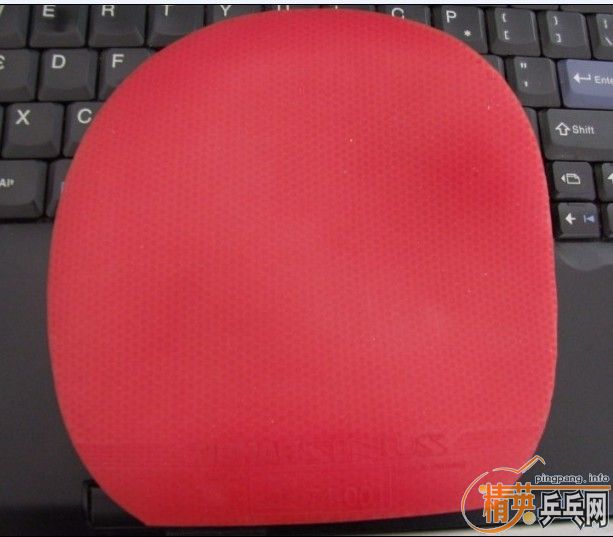 ͦ�γ����٣�һ����150����===========