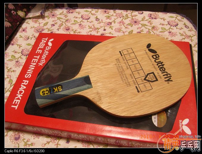 ����SK7������֧������