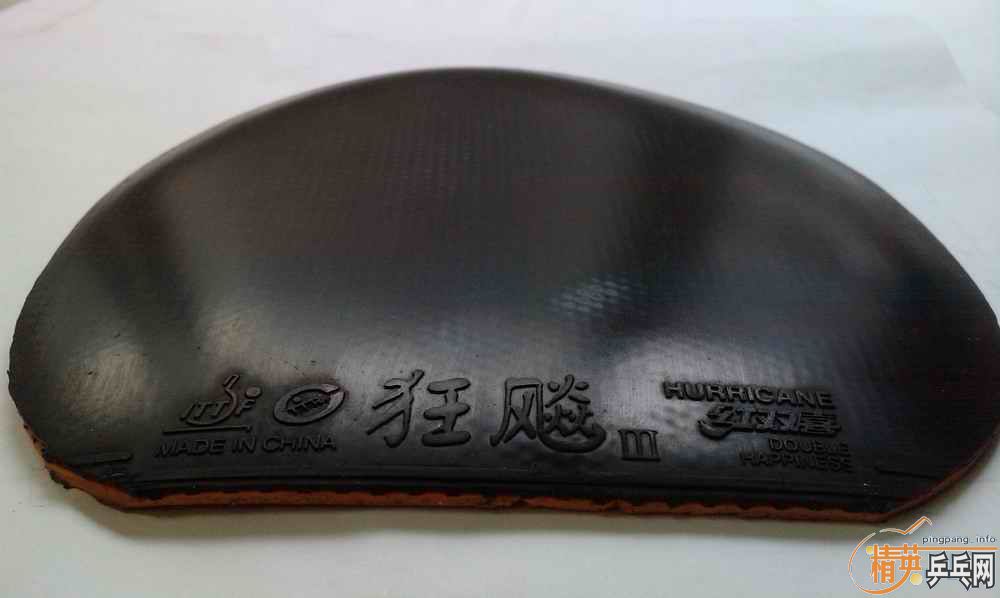 100����ݳ� ʡ��3+˹����EL