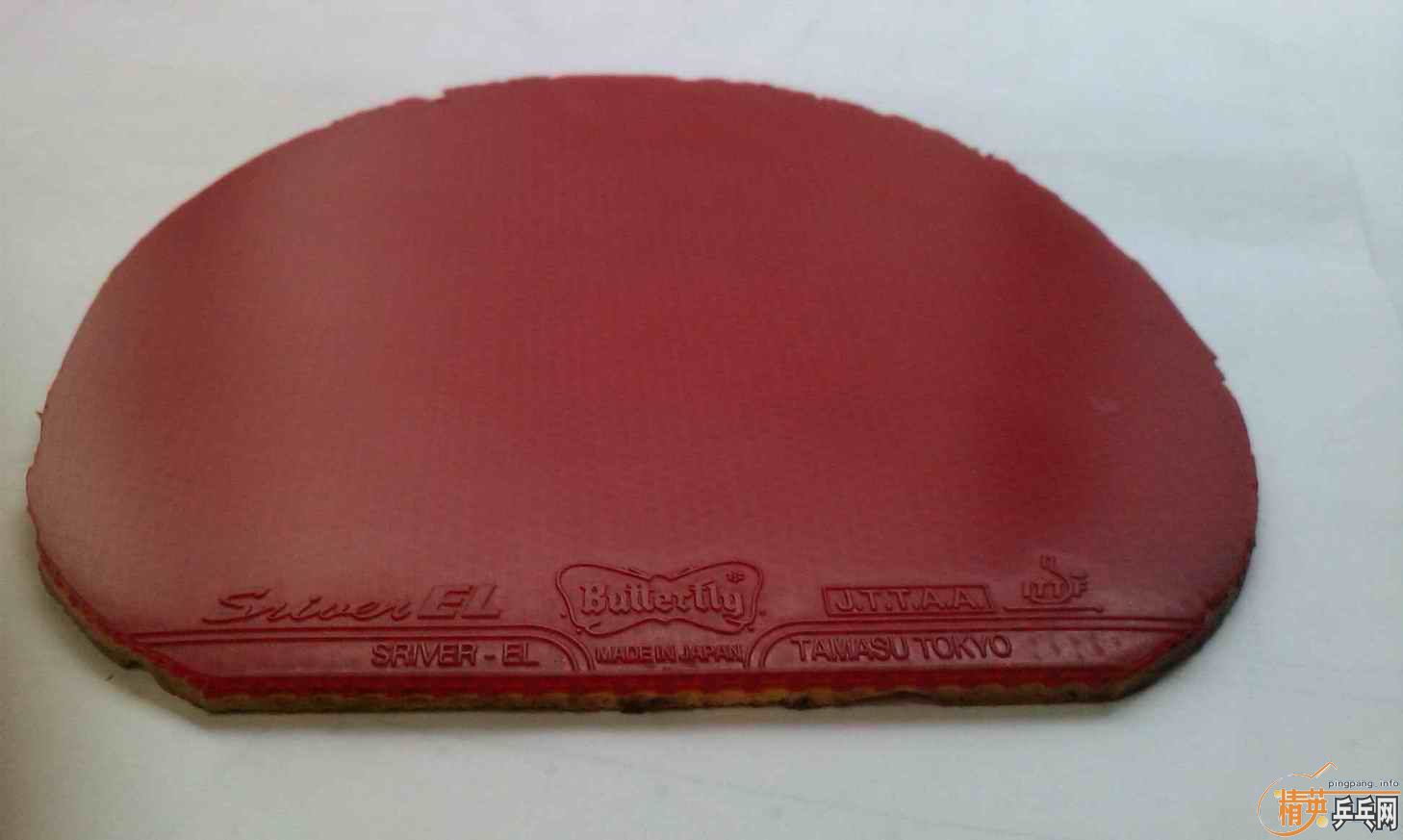 100����ݳ� ʡ��3+˹����EL