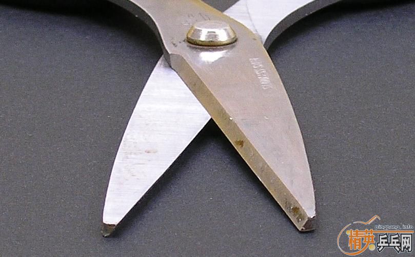 []ɽʲô߲׽