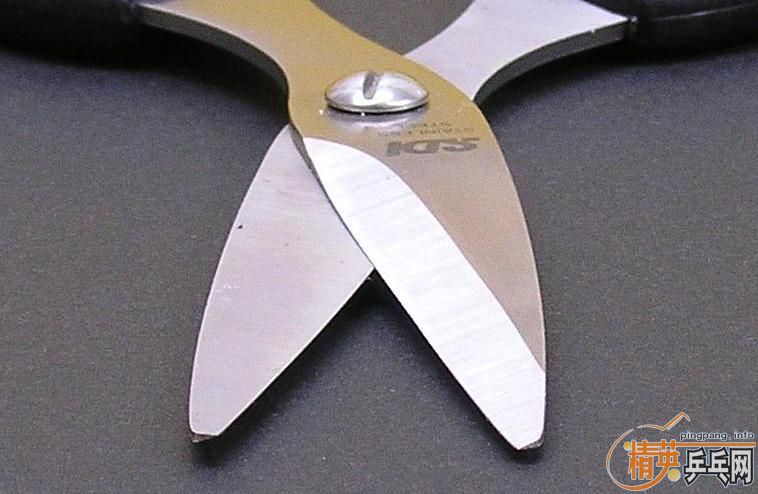 []ɽʲô߲׽