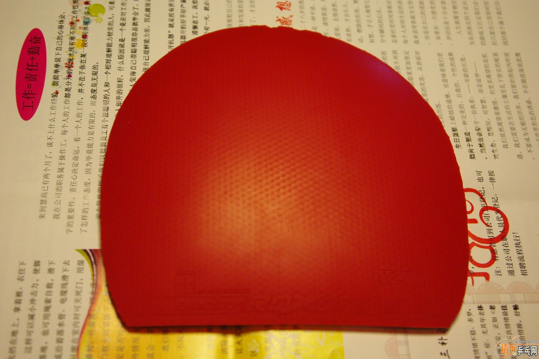 �����׽���������ֱ��500��omega2��bryce-fx��729-08����ɷ�������ˡ�����