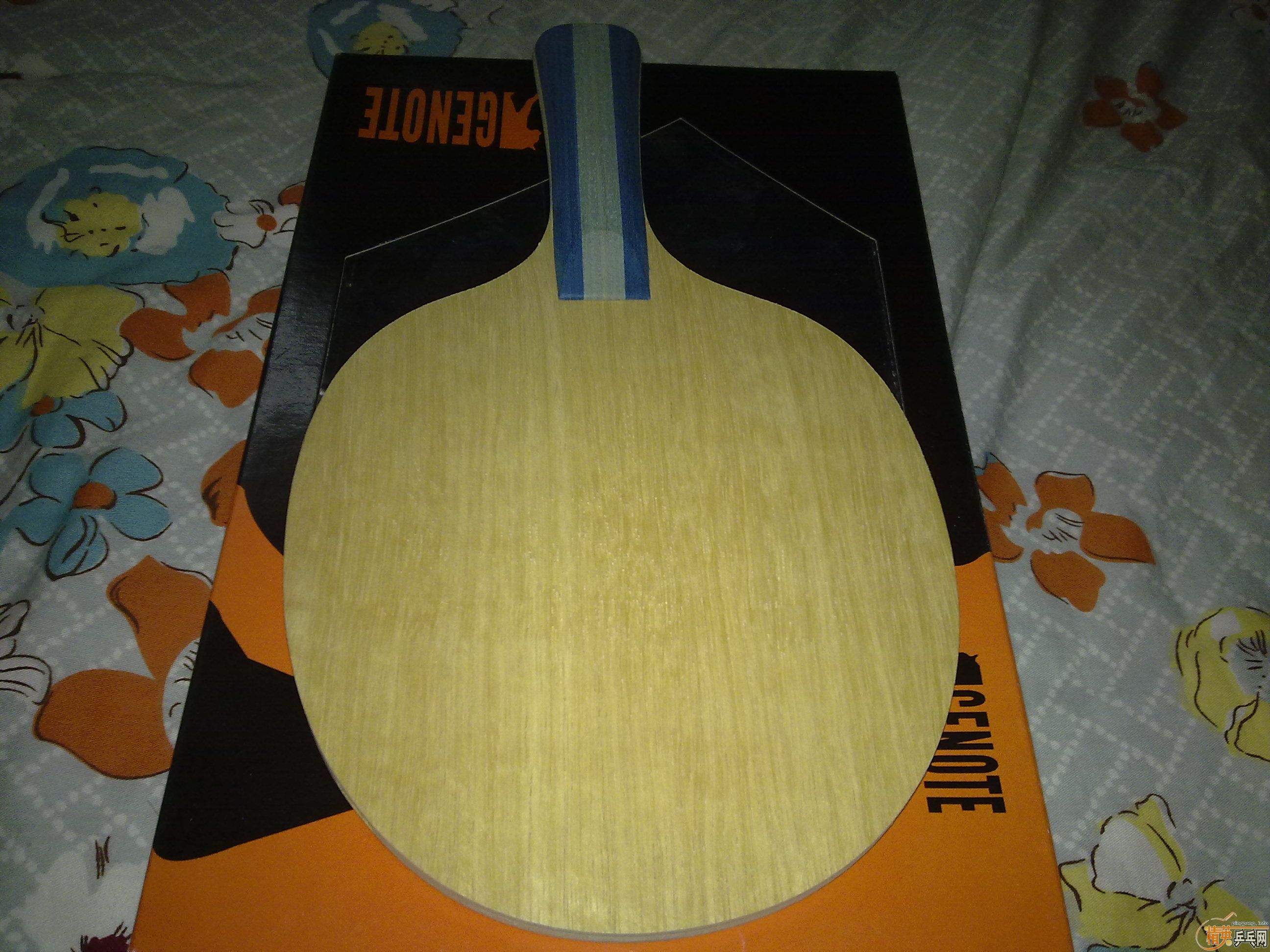 ���˻������һ���׽��˲������ͻ����µĵװ�