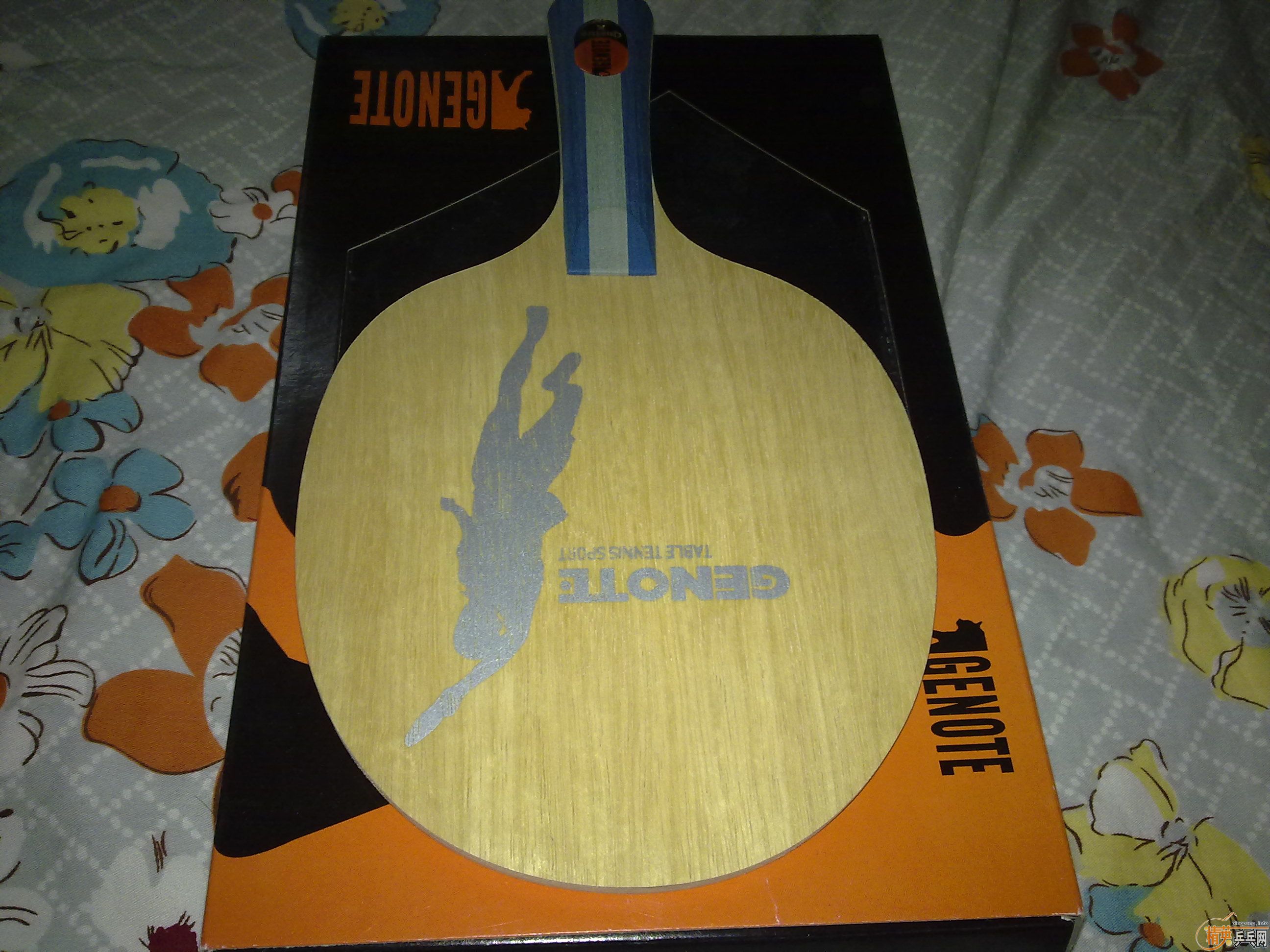 ���˻������һ���׽��˲������ͻ����µĵװ�