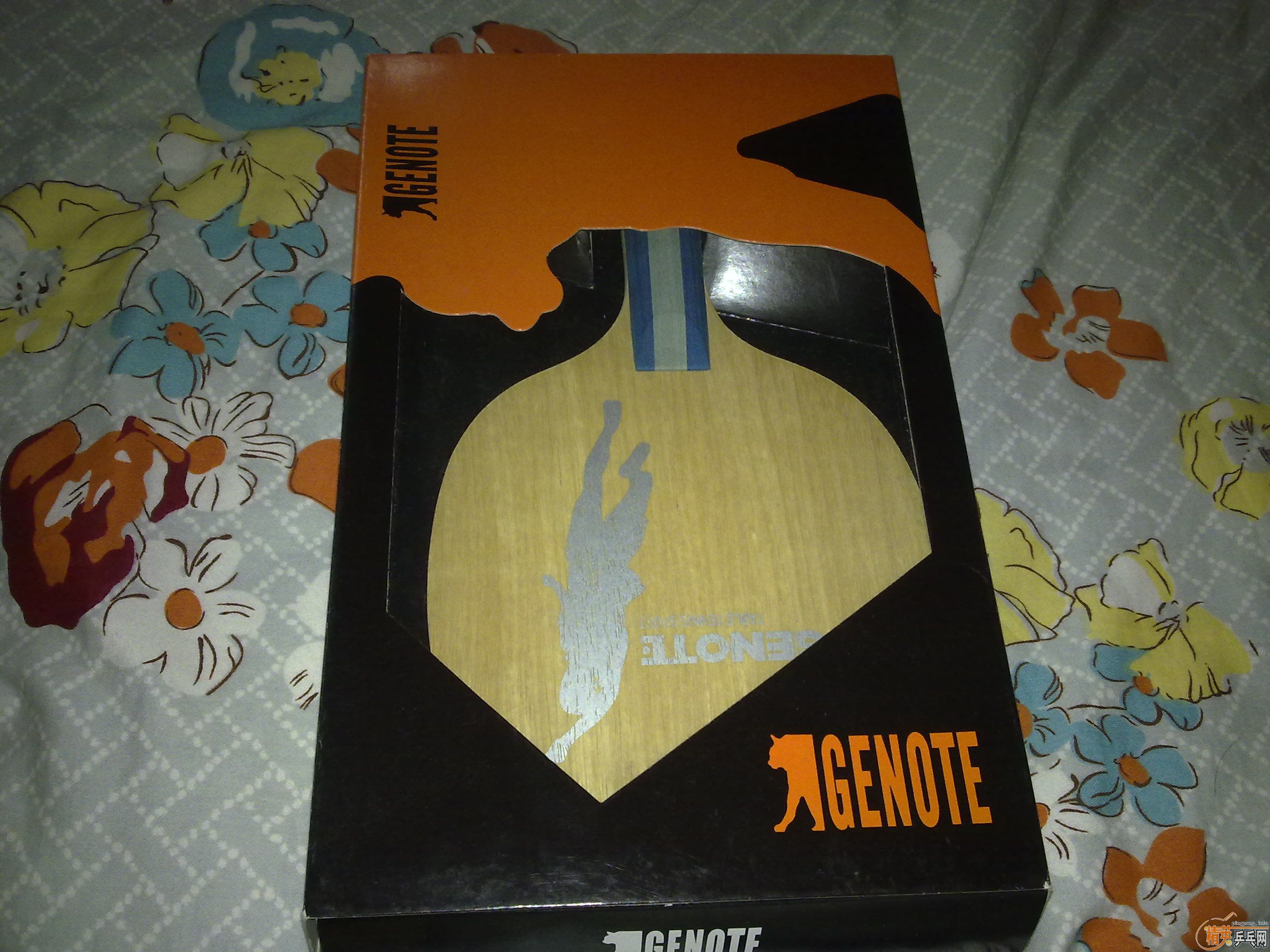 ���˻������һ���׽��˲������ͻ����µĵװ�