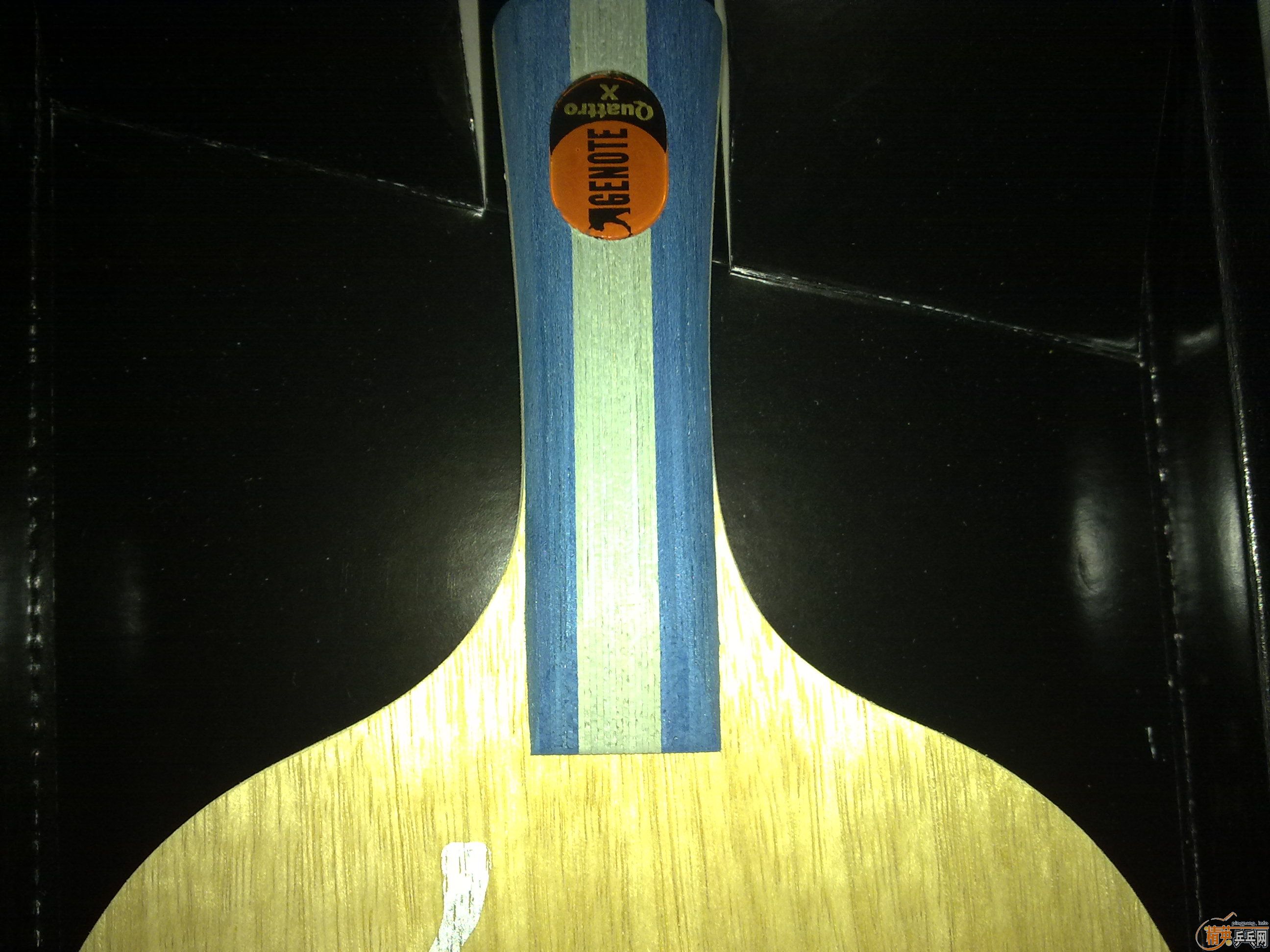 ���˻������һ���׽��˲������ͻ����µĵװ�