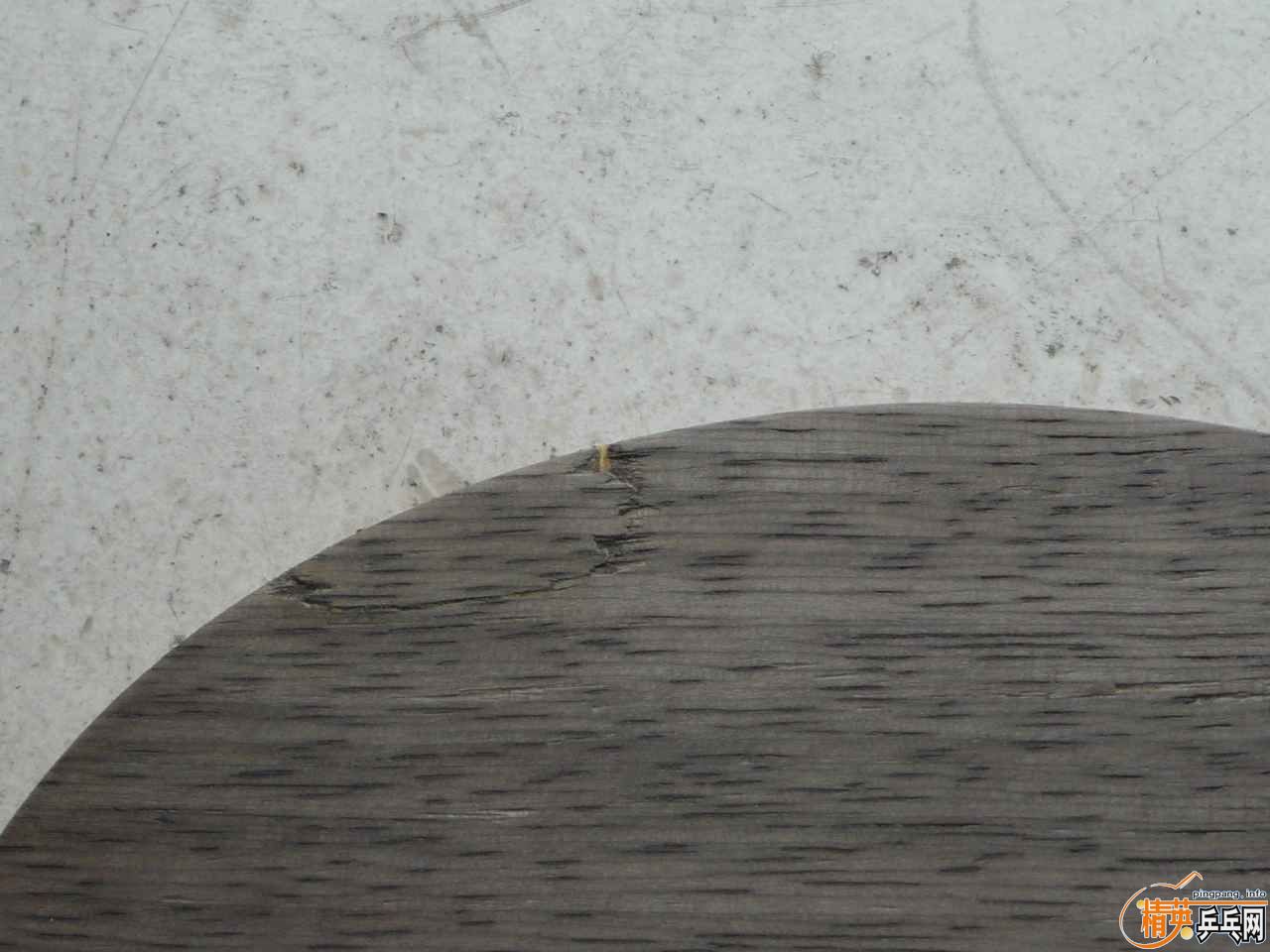 ��240Ԫ������5.4�򻻰�