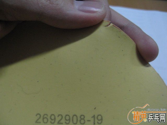 ��9.8��ŷ��DONIC ��̼ST��F2�׽�  360����ݣ�֧������