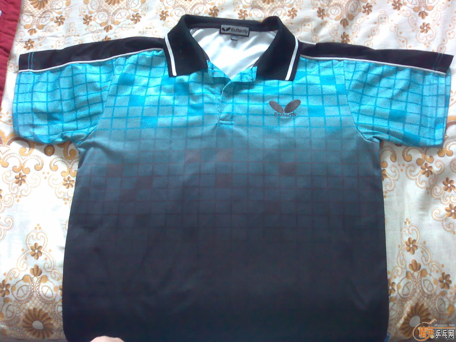 �������±��˳���~