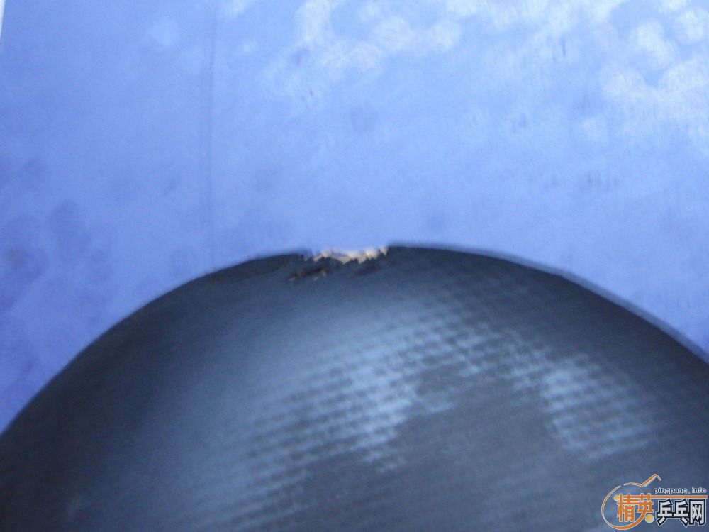 �����Ž�Ƥ   ��һ�鳬��һŵ