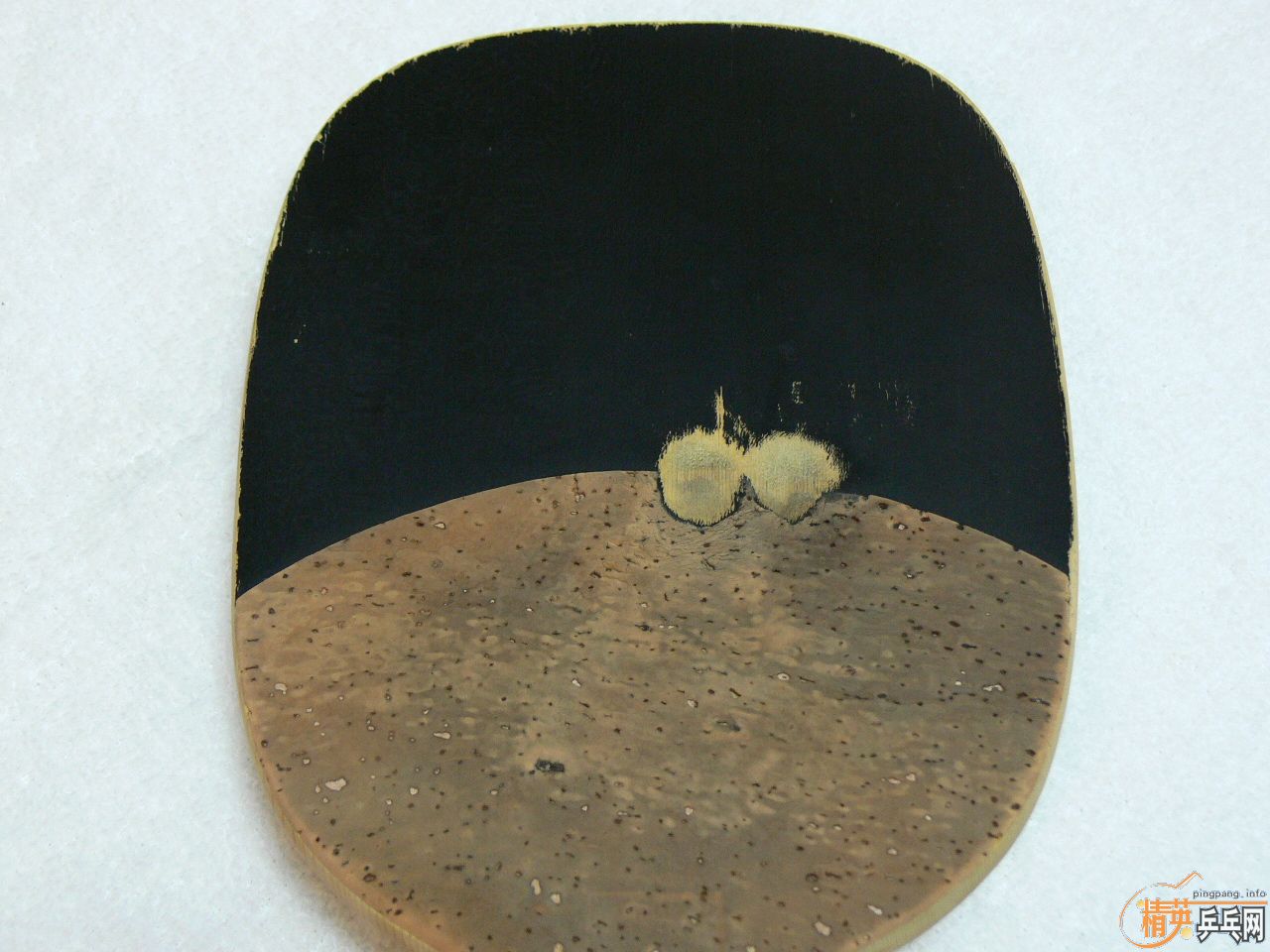 ������ģ� ��� SPEED90 ���� 10mm �� ����Ƥ������