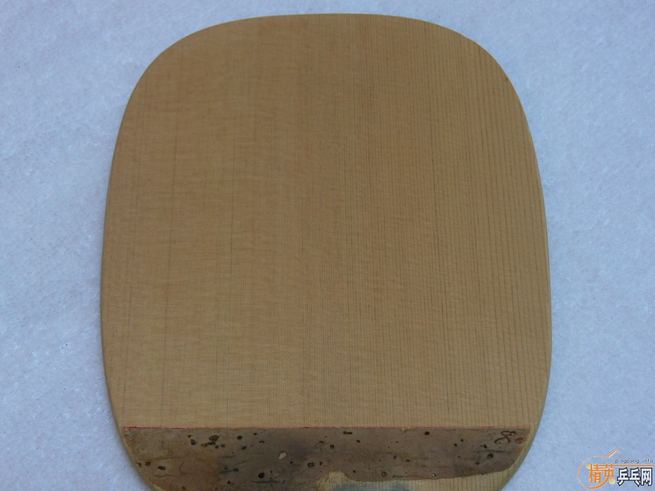 ������ģ� ��� SPEED90 ���� 10mm �� ����Ƥ������