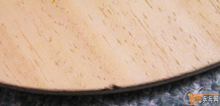 ��Ҳ���ڱ������