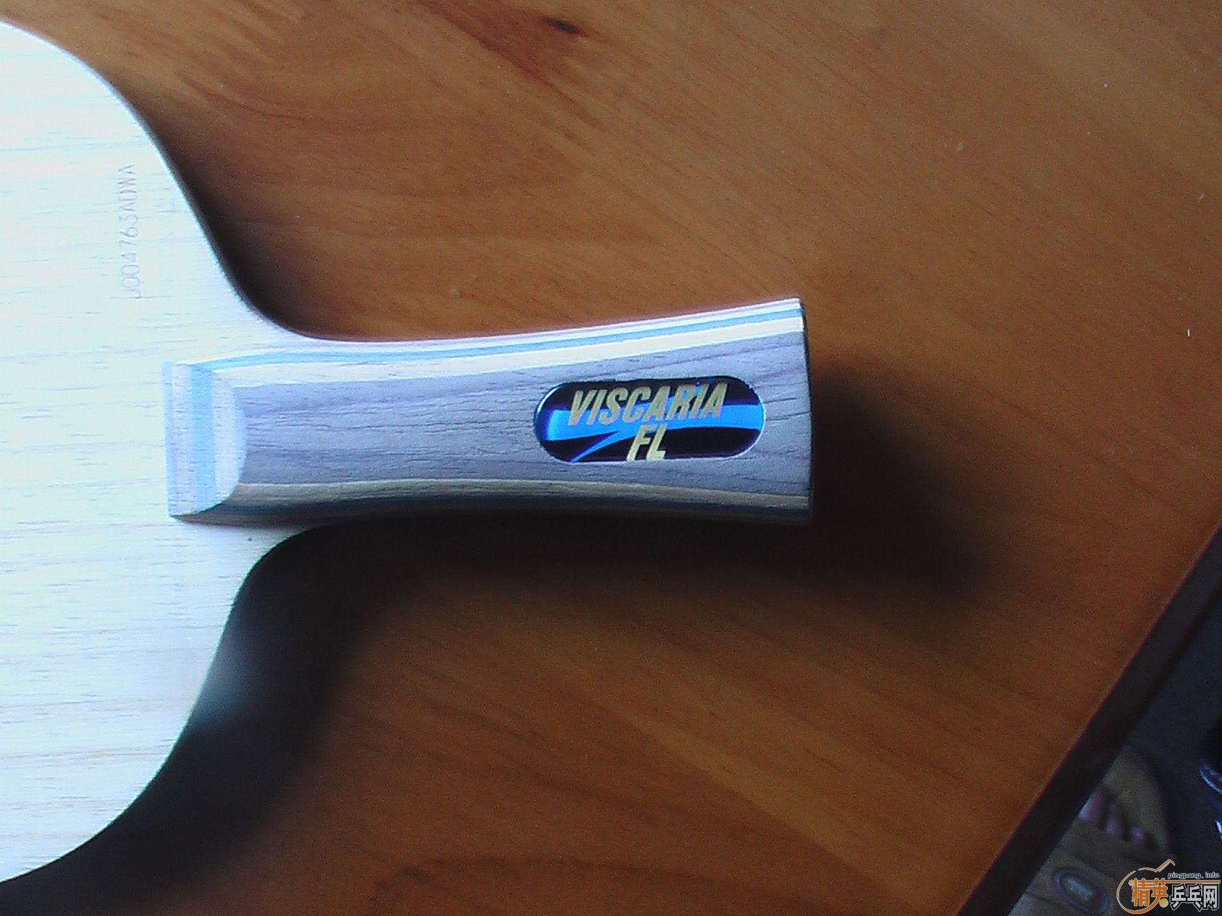 ��99������FL������600���ʿɵ�