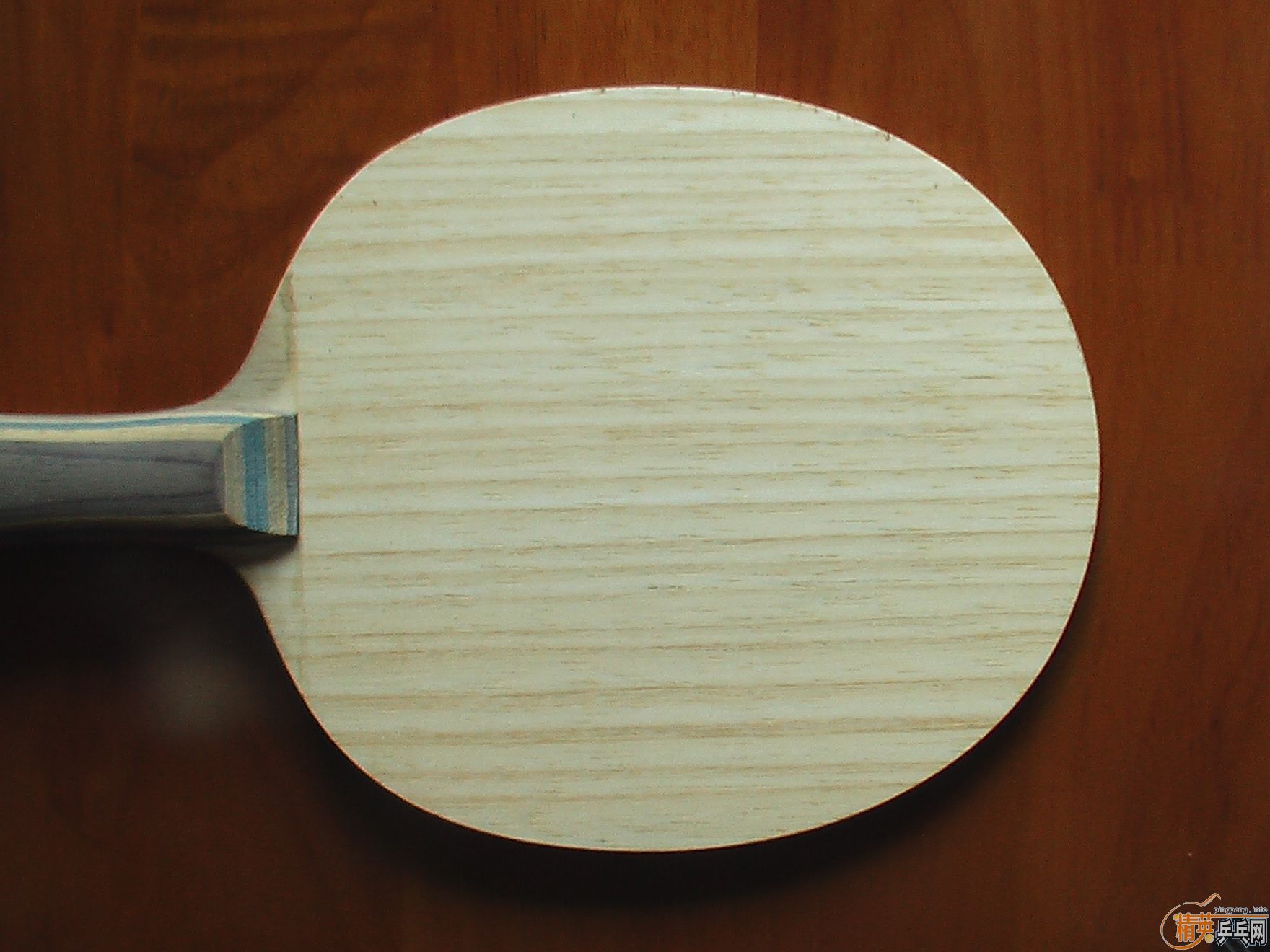 ��99������FL������600���ʿɵ�