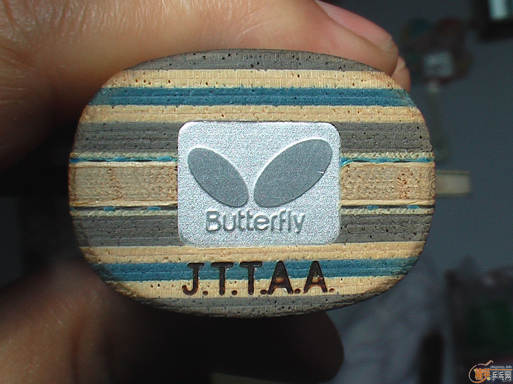 ��99������FL������600���ʿɵ�