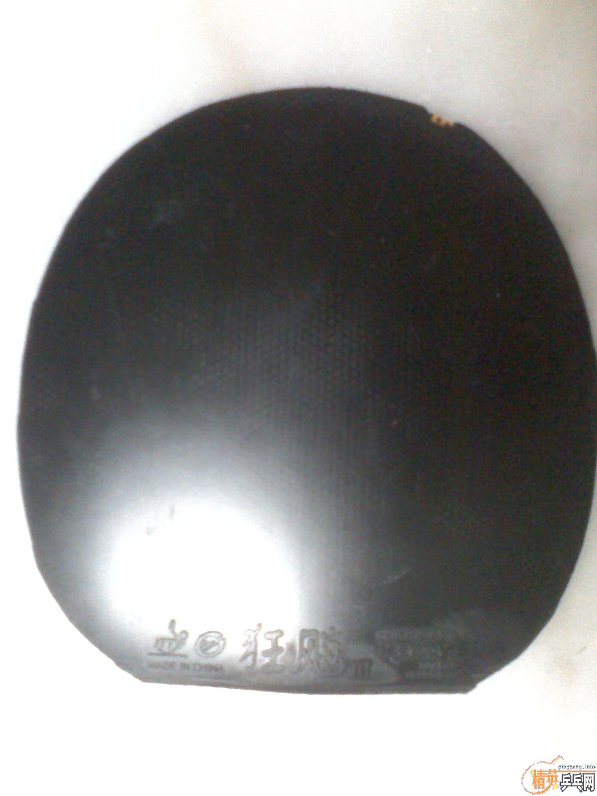 �ͼ۳�һ�ź�ɫ����