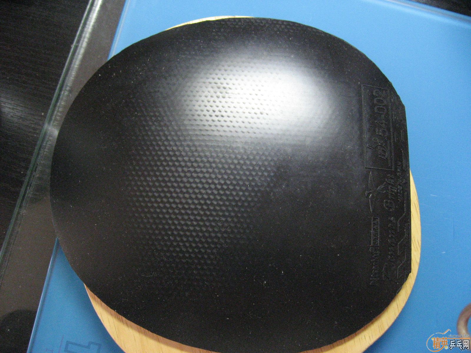 ��һ֧���µ�Nittaku��manchester-FL(��ľ-FL)